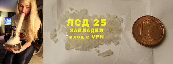 СК Зерноград