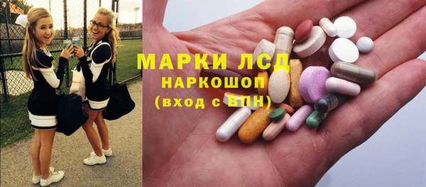 СК Зерноград