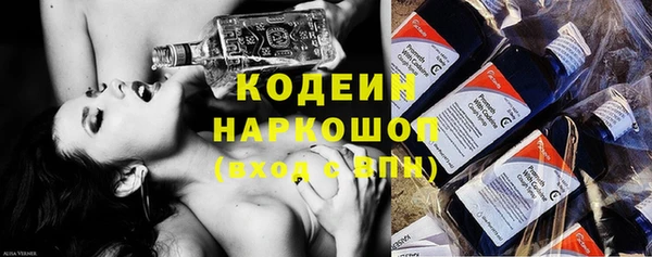 СК Зерноград