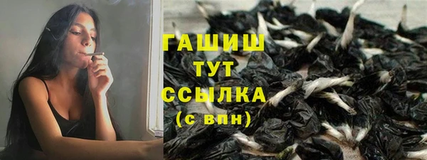 СК Зерноград