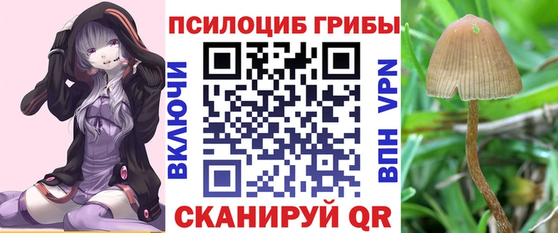 Галлюциногенные грибы Cubensis Ревда