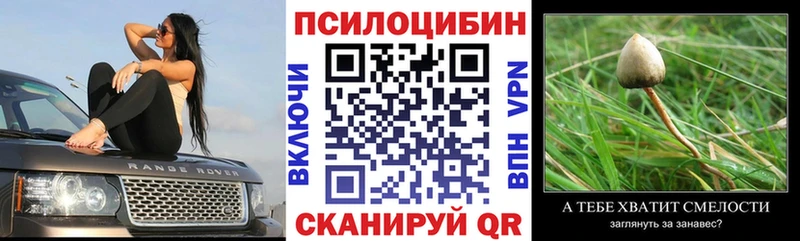 Псилоцибиновые грибы Psilocybine cubensis  Купить  Ревда 